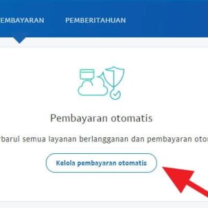 Mengapa Pembayaran Pending di PayPal Bisa Dibatalkan?