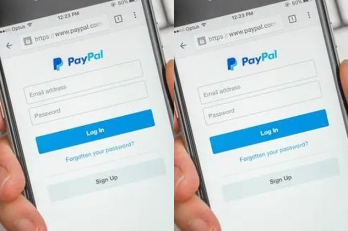 Biaya Transfer PayPal ke PayPal: Apakah Ada Biaya yang Dikenakan?