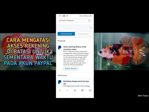 Batasi Penggunaan ATM Paypal: Mengenal Batasan dan Cara Mengatur Limit