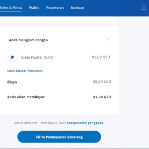 Pengiriman Uang dari India ke AS menggunakan PayPal: Panduan Lengkap