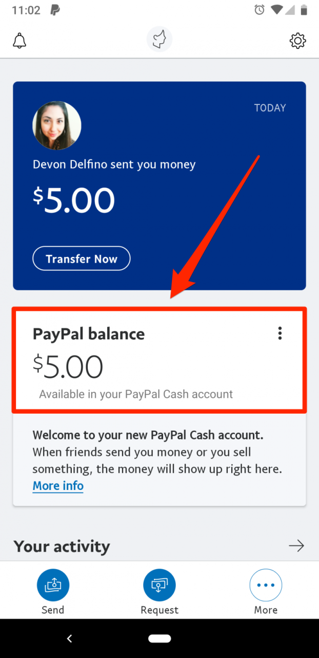 Petunjuk Lengkap: Melihat Saldo Akun PayPal