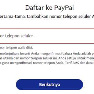 Mengenal PayPal Kids Account: Solusi Keuangan Digital untuk Anak-Anak